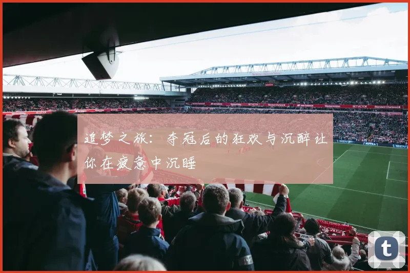 追梦之旅：夺冠后的狂欢与沉醉让你在疲惫中沉睡